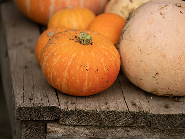 istock Array of Assorted Pumpkins Arranged on a Rustic Wooden Background. Home entrance decorated for autumn. Autumnal festivities decor of exterior building. Old rural house. pumpkins in various sizes. 2232391255