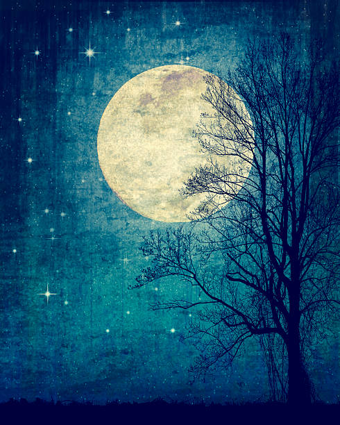 istock Gothic Night Sky, Stars, Full Moon, Tree Silhouette - Blue Teal - Atmospheric Mood 2232392117