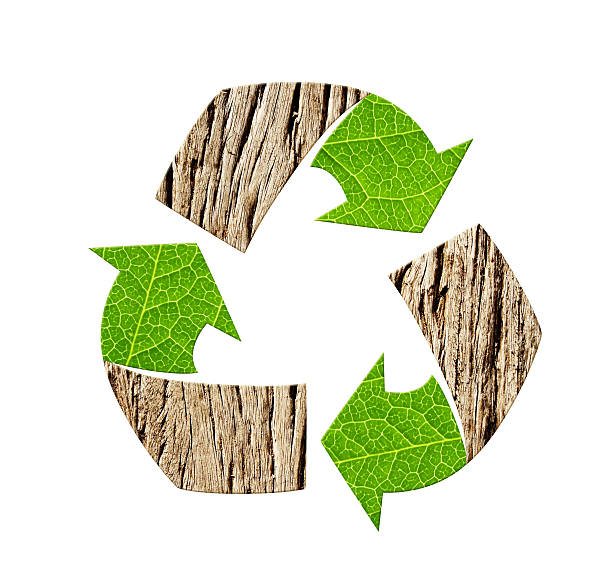 istock Arrows recycle symbol with bark and green leaf texture. Reuse, renewable resources. Eco-friendly, Ecology, go green, Green Energy, environmental, zero waste, responsible consumption concept 2232401070
