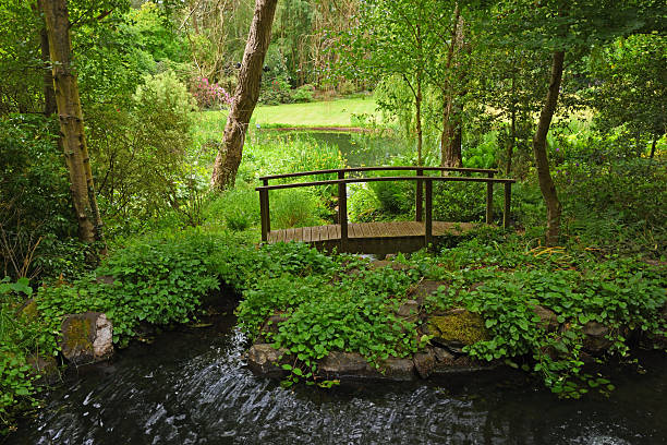 Wooden bridge over river.