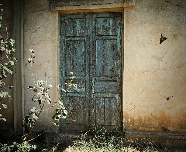 old blue door with peeling paint in the old clay wall of a houseю green plant close up
