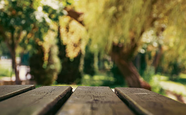 istock natural background with blurred plants space for advertising 2232403014