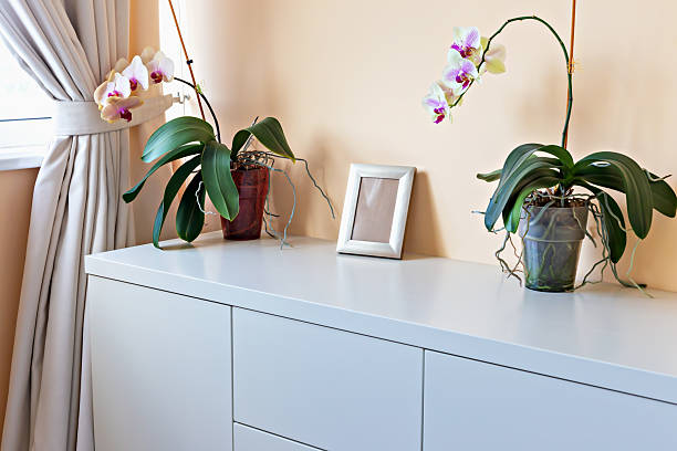 istock Elegant interior with orchid plants on white cabinet against soft peach wall backdrop 2232404269