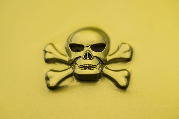 Glossy metallic skull and crossbones emblem detail.