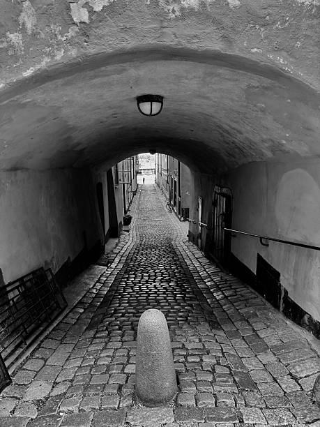 Gamla Stan, or The Old Town dates from the 13th century. The island with cobblestones and colorful 16th century buildings or on the island of Stadsholmen. The large square in the center is surrounded by merchants’ houses, Stockholm Stock Exchange,Nobel Museum, and Stockholm Cathedral.
