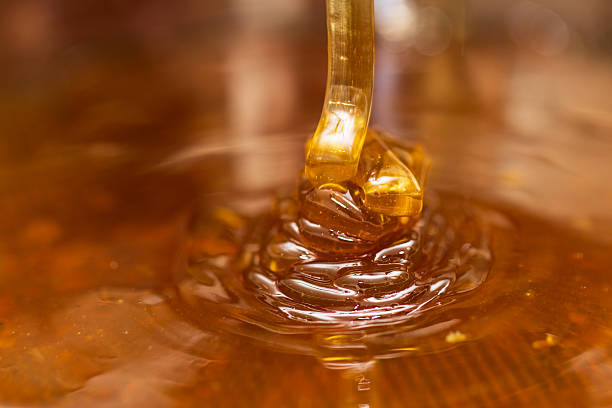 istock Honey dripping into container from extractor stock photo 2232408094