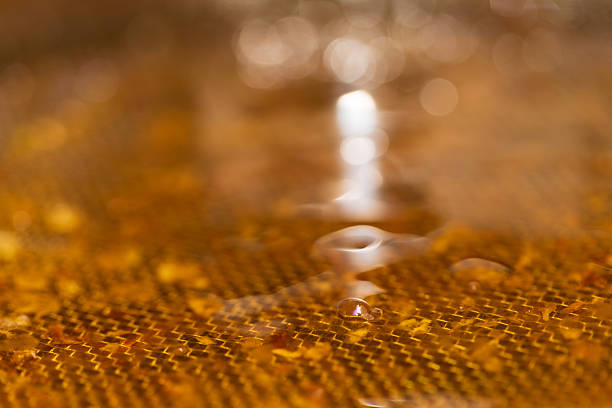Golden honey passing through a fine mesh filter during extraction, capturing the purity and texture of raw honey.