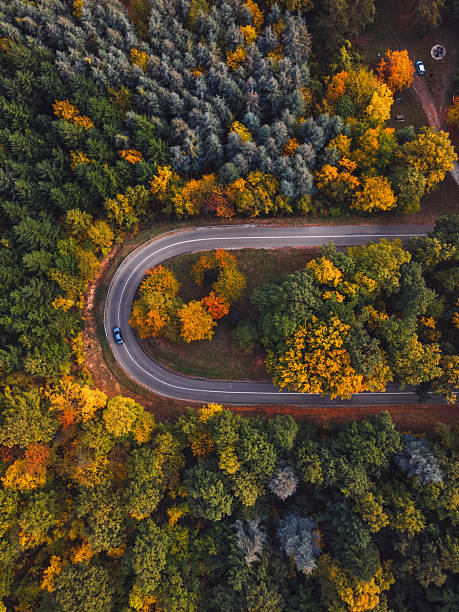 istock High angle view of a car driving through sunny autumn forest 2232415353