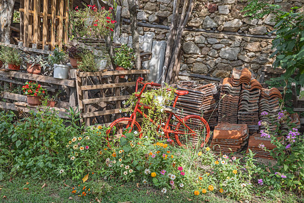 Gabrovo, Strumica, North Macedonia. Red bicycle and flowers in a rural back yard.