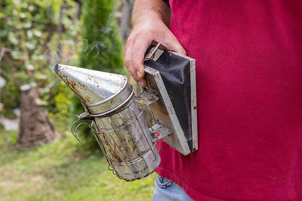 Bitola, Pelagonia, North Macedonia. Smoker for use with honey bee hives.