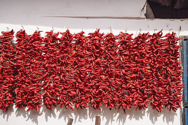 Donja Lakosnica, Razgojna, Jablanica District, Serbia. Strings of fresh red peppers hanging to dry.