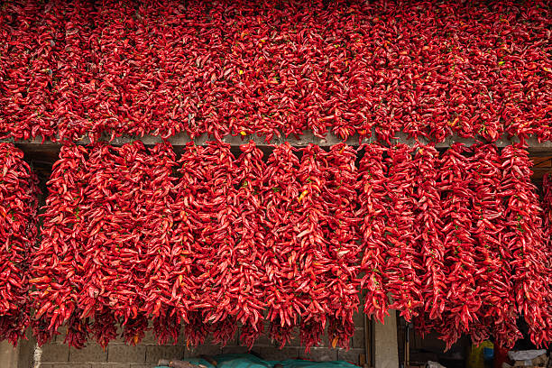 Paprika is a spice made from dried and ground red peppers, traditionally capsicum annum.