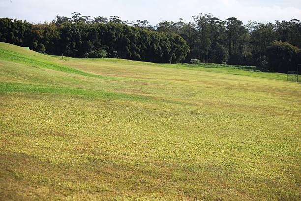 istock Cultivated grass field in a hill 2232421181