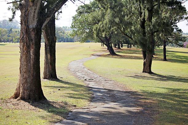 Gold course in Mogi Cruzes city, Brazil. Cultivated lawn in sunny day light
