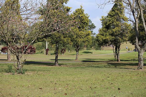 istock Sunny day light over green grass field 2232421467