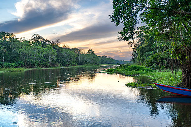 istock Dramatic Sunset Over the Beautiful Untamed Vast Amazon River and the Amazon Rainforest in the Tamshiyacu Tahuayo Regional Conservation Area Near Iquitos, Peru in South America. 2232421632