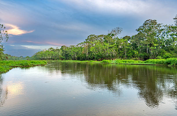 istock Dramatic Sunset Over the Beautiful Untamed Vast Amazon River and the Amazon Rainforest in the Tamshiyacu Tahuayo Regional Conservation Area Near Iquitos, Peru in South America. 2232421670