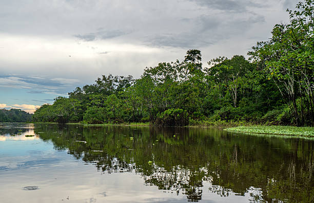 istock Dramatic Sunset Over the Beautiful Untamed Vast Amazon River and the Amazon Rainforest in the Tamshiyacu Tahuayo Regional Conservation Area Near Iquitos, Peru in South America. 2232421700