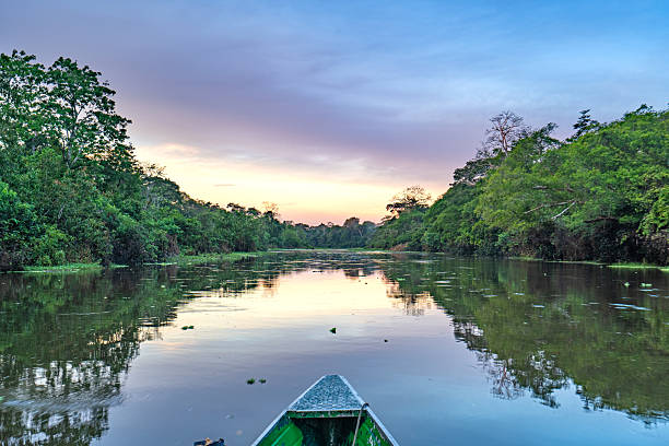 istock Dramatic Sunset Over the Beautiful Untamed Vast Amazon River and the Amazon Rainforest in the Tamshiyacu Tahuayo Regional Conservation Area Near Iquitos, Peru in South America. 2232421709