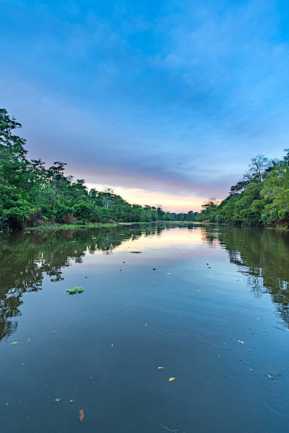 istock Dramatic Sunset Over the Beautiful Untamed Vast Amazon River and the Amazon Rainforest in the Tamshiyacu Tahuayo Regional Conservation Area Near Iquitos, Peru in South America. 2232421713