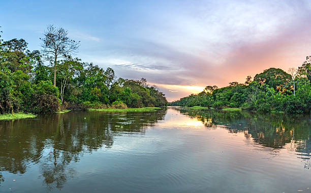 istock Dramatic Sunset Over the Beautiful Untamed Vast Amazon River and the Amazon Rainforest in the Tamshiyacu Tahuayo Regional Conservation Area Near Iquitos, Peru in South America. 2232421714