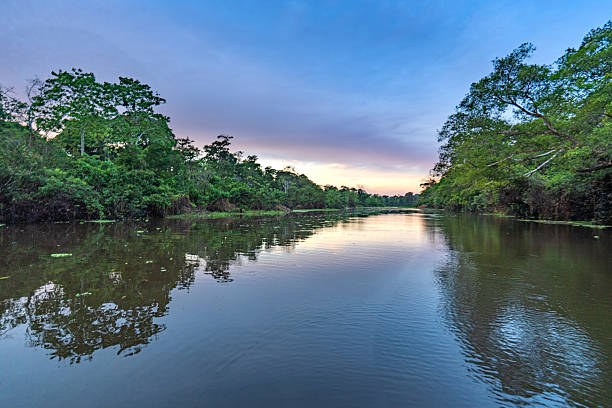 istock Dramatic Sunset Over the Beautiful Untamed Vast Amazon River and the Amazon Rainforest in the Tamshiyacu Tahuayo Regional Conservation Area Near Iquitos, Peru in South America. 2232421722