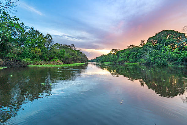 istock Dramatic Sunset Over the Beautiful Untamed Vast Amazon River and the Amazon Rainforest in the Tamshiyacu Tahuayo Regional Conservation Area Near Iquitos, Peru in South America. 2232421723