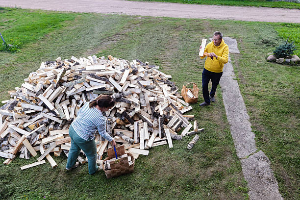 Middle-aged man stands beside a truck loaded with chopped firewood in a forested area in Albrightsville, Pennsylvania. The pickup truck with an open bed contains a large pile of split logs for home heating during winter. The delivery is parked on a dirt driveway surrounded by tall pine trees and green grass. The scene captures rural home preparation for cold weather with traditional wood heating materials.