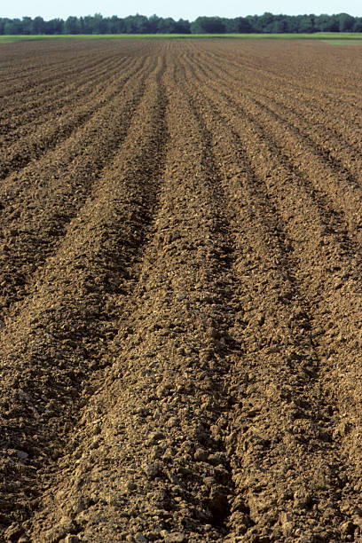 istock A plowed field of dirt 2232430892