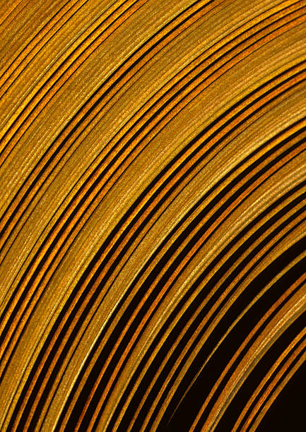 istock A roll of steel sheet 2232430948