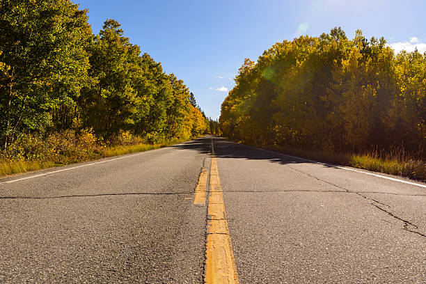 Golden aspens line the roadpure autumn magic.