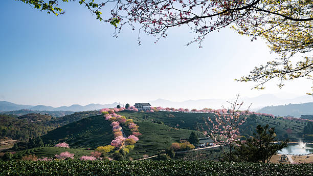 istock Chinese garden-style tea garden 2232441560