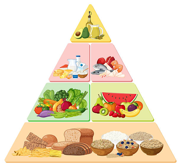 istock Colorful Food Pyramid Vector with Healthy Food Groups 2232446909