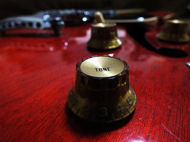 Semi-acoustic guitar