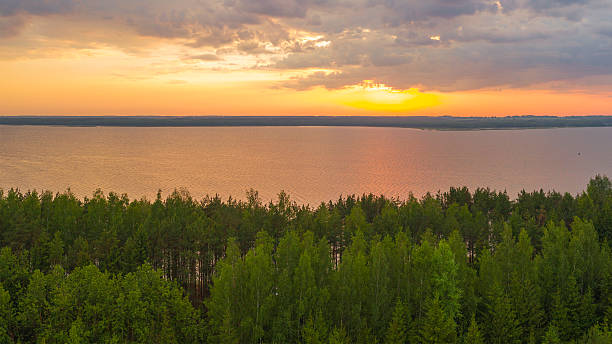 istock a large lake in a summer forest 2232449538