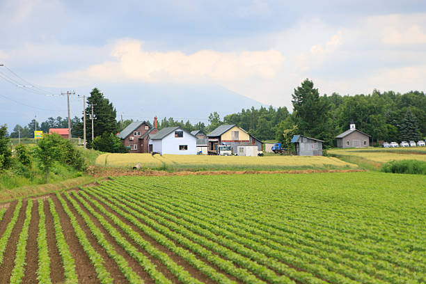 Japan Landscape