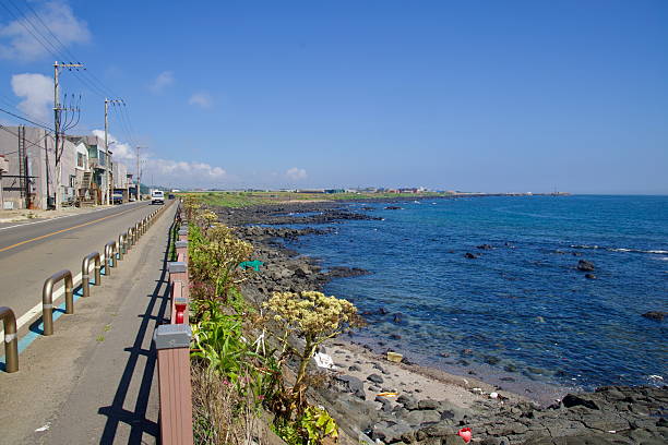 A coastal road with a blue bike line runs above basalt rocks toward Sindo Port on Jeju Island, stainless guardrails and roadside plants bordering the walkway as clear water laps the lava shore.