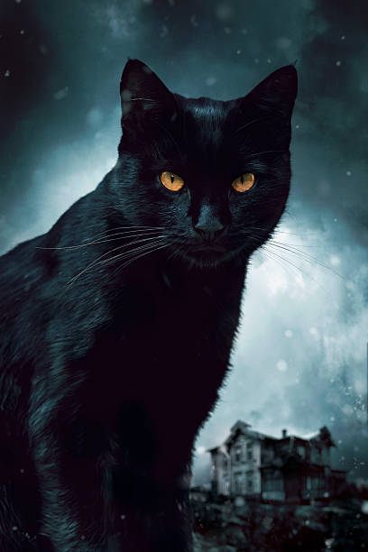 Dark black cat with glowing yellow eyes stares intensely in front of a spooky old house under a moody, stormy sky.