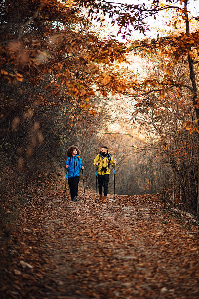 istock Hikers walking in forest during autumn 2232461375