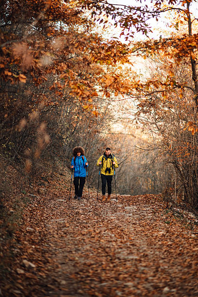 istock Hikers walking in autumn forest trail 2232463953