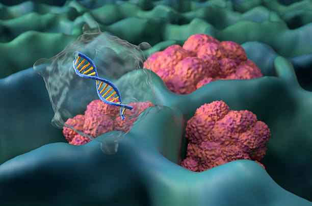 istock Gene therapy in lung cancer (LC) - closeup view 3d illustration 2232469008