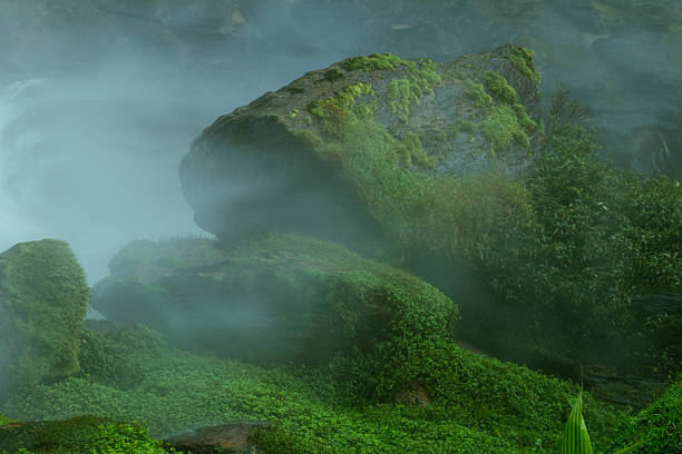 Mist and waterfall stream in tropical forest mountain landscape