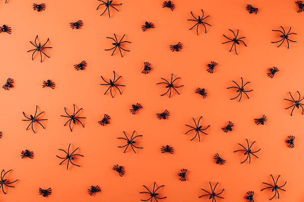 istock Halloween concept. Decorations on the orange background. Flat lay, top view, copy space 2232473572