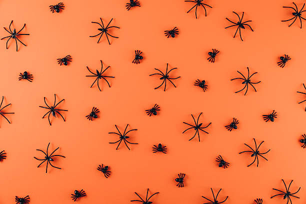 istock Halloween concept. Decorations on the orange background. Flat lay, top view, copy space 2232473573