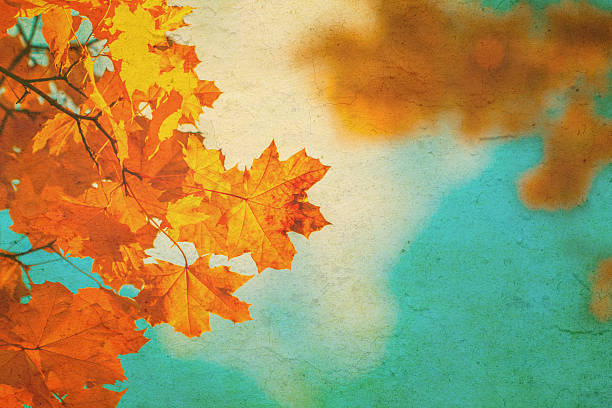Autumn leaves over vintage background. Perfect grunge fall texture.