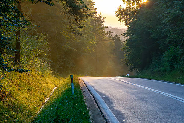 Bieszczady asphalt road through the forest, rays of setting sun illuminating the curve, picturesque mountain natural landscape.