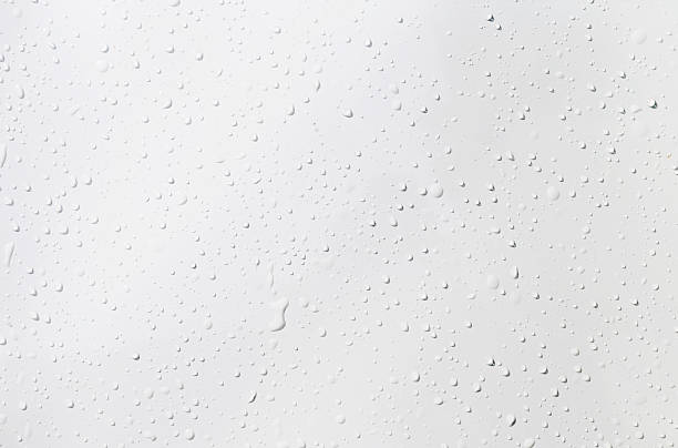 istock Water drops on white background, Closeup water drops on white background 2232477433