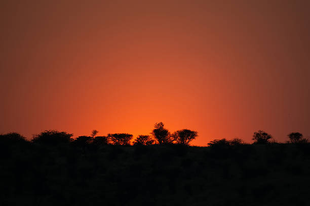 Avis Dam Nature Reserve is located near Windhoek, the capital of Namibia. This nature reserve is known for its scenic beauty and serves as an important ecological and recreational area.Namibia is a country on the west coast of Southern Africa. Its borders include the Atlantic Ocean to the west, Angola and Zambia to the north, Botswana to the east and South Africa to the south. Namibia's capital and largest city is Windhoek.