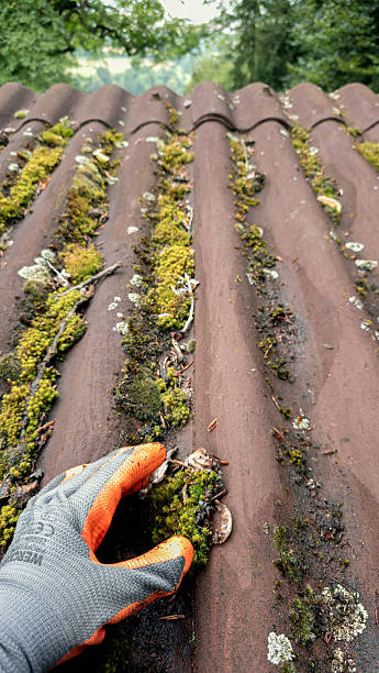 istock removing roof green moss by hand 2232479856