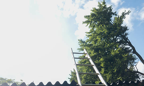 istock ladder leaning against the roof 2232479913